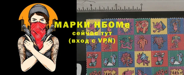 прущие грибы Вязники